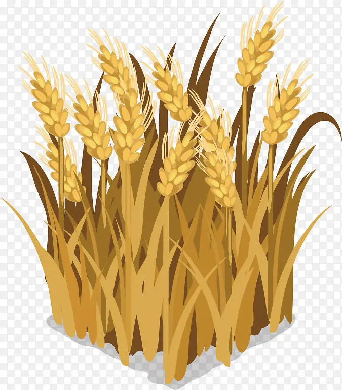 ����PNGʸ���ز�-������