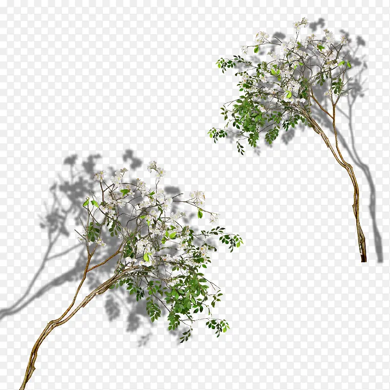 ��֦-������