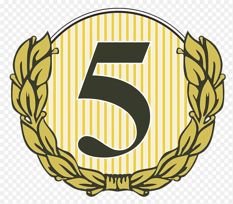 �¹�������5-������