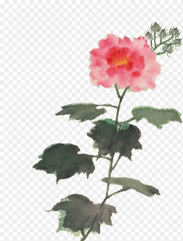 ˮ�ʻ�����-������