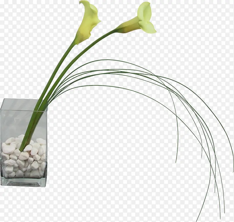 ��ƿ-������