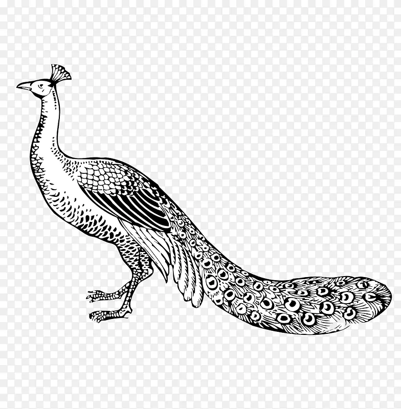 �ֻ��ȸ-������