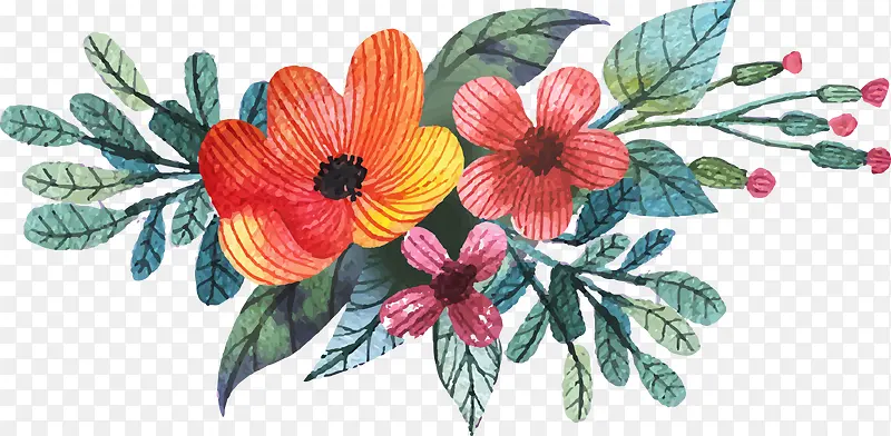 ˮ�ʻ�����Ư���ػ�-������