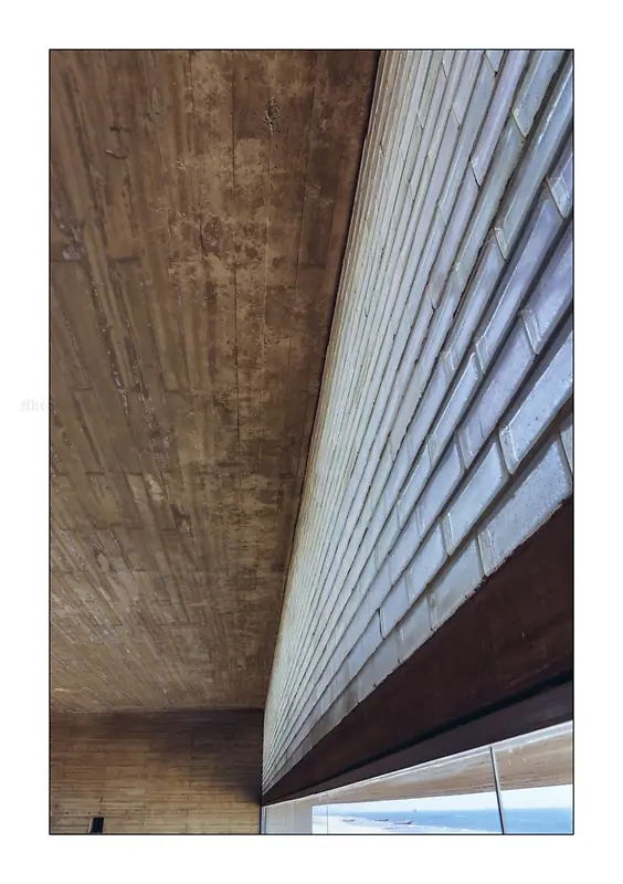 ������Ӱ��������-������