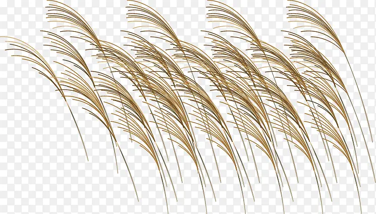 «έ��ʸ���ز�-������