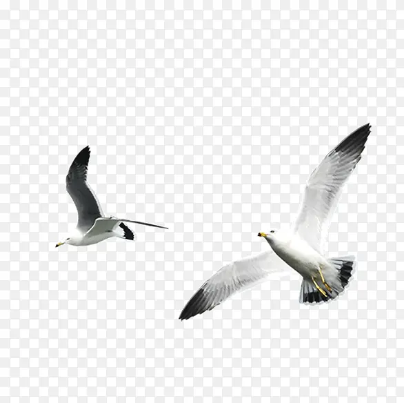 ����-������