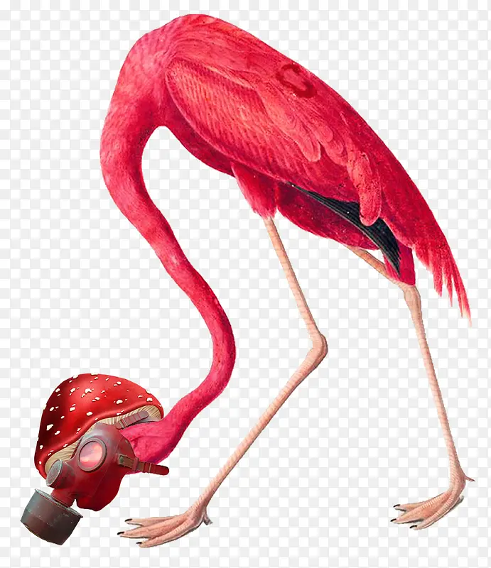 ������������-������