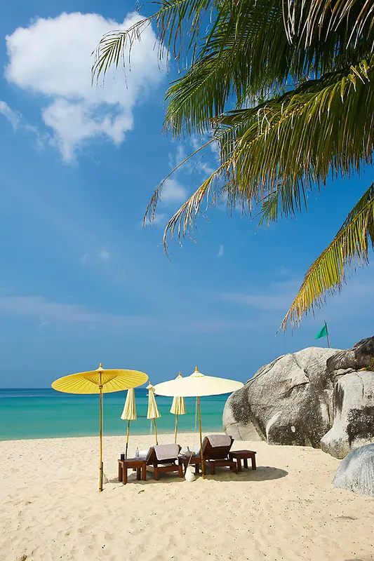 ������ƺ�̲�����-������