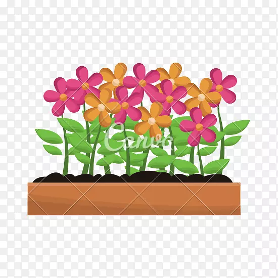 ������ľ��������ֲ��-������