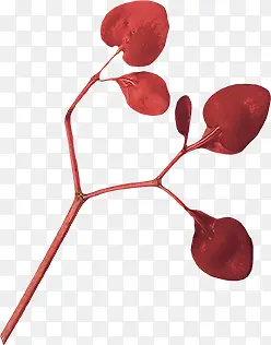 ����֦-������