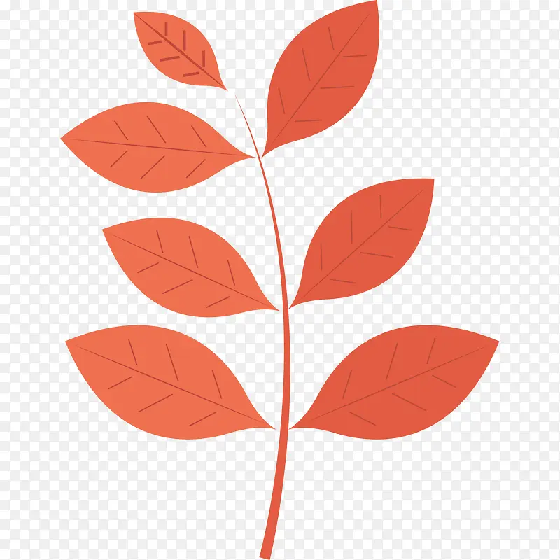 ʸ��ֲ��-������