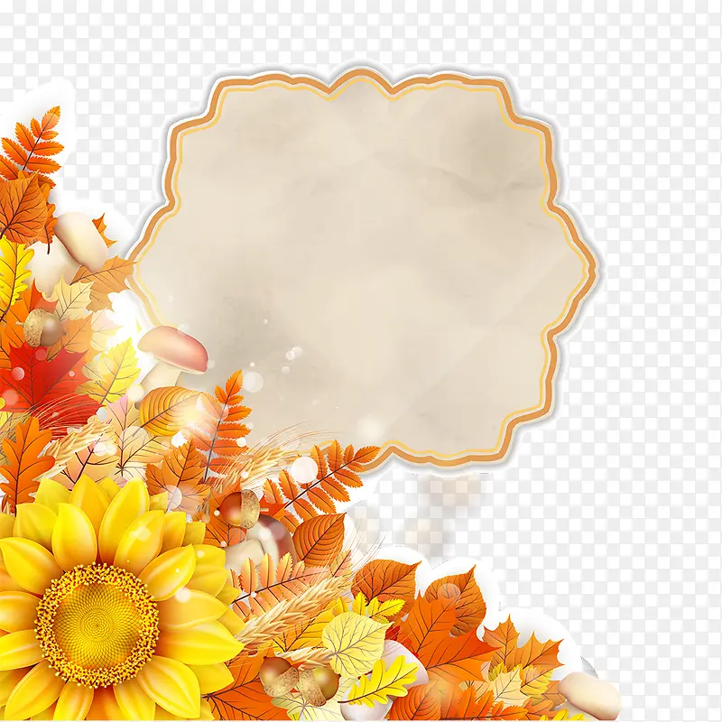 ��Ҷ���տ��������⺣��-������