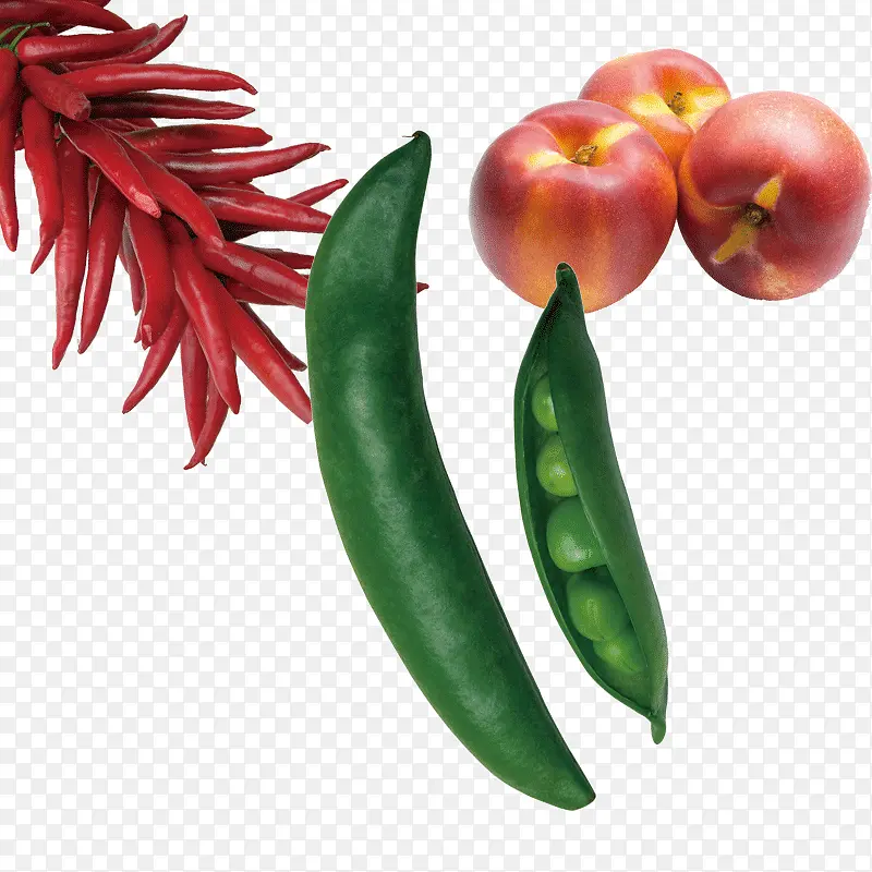 ƻ�������㶹PNGʸ���ز�-������