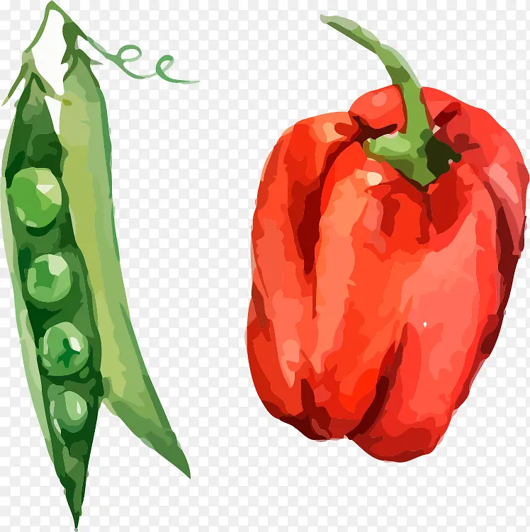 �����㶹PNGʸ���ز�-������