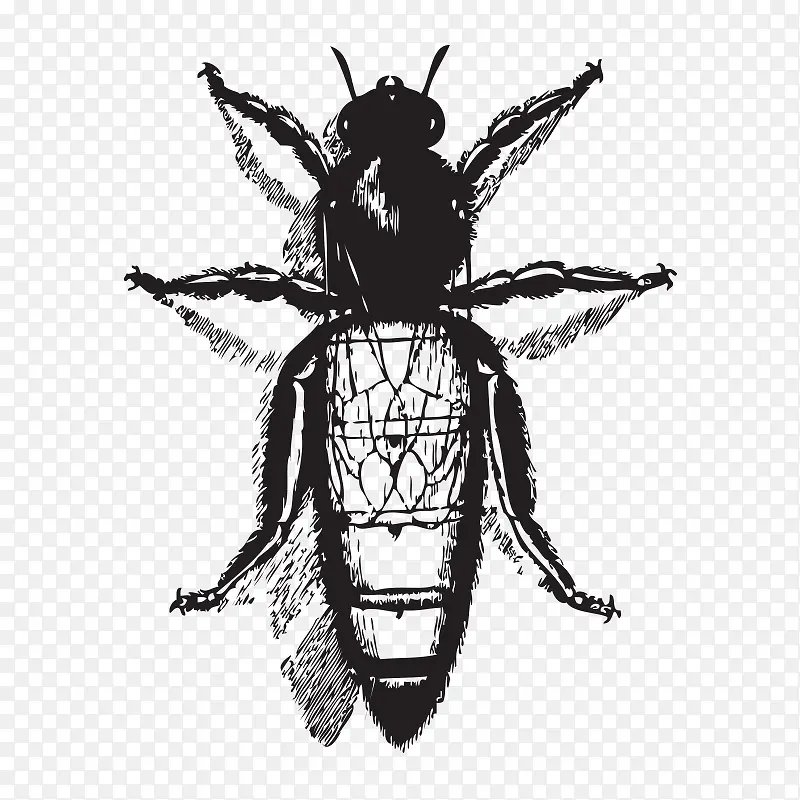 ���趯��-������