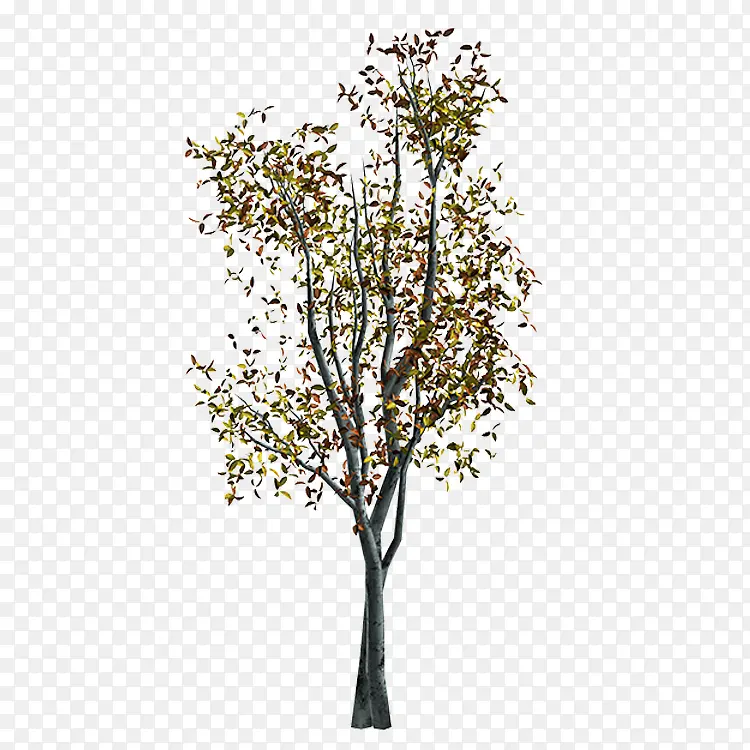 ��-������