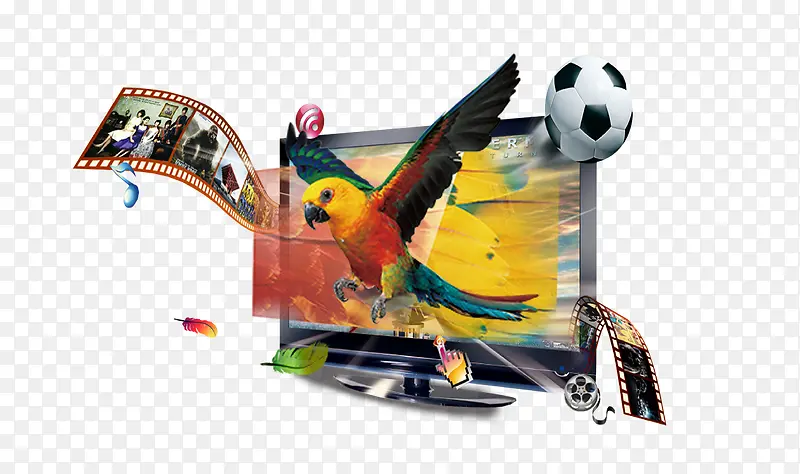 ������Ƶֱ����ӥ����-������