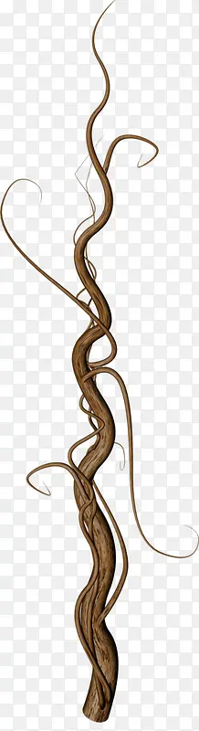 �ɿ���֦�ز�-������