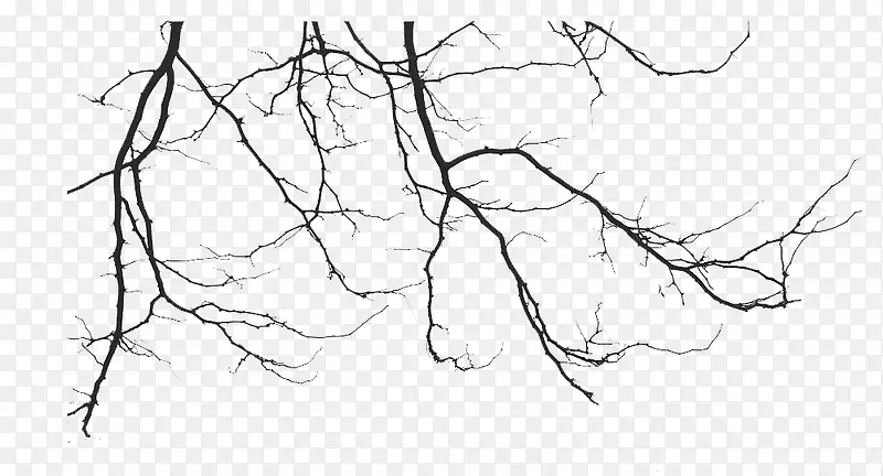 ��֦�ز�-������