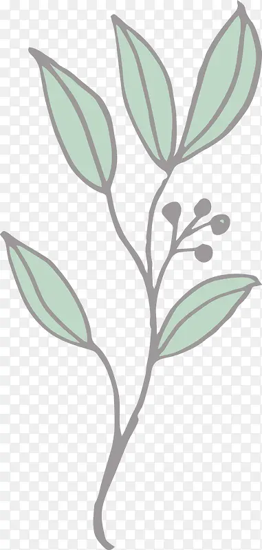 Ư����֦-������