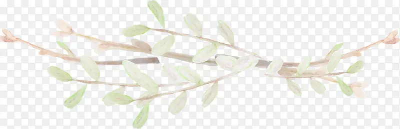 Ư����֦-������