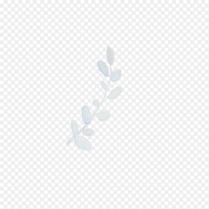 Ư����Ҷ-������