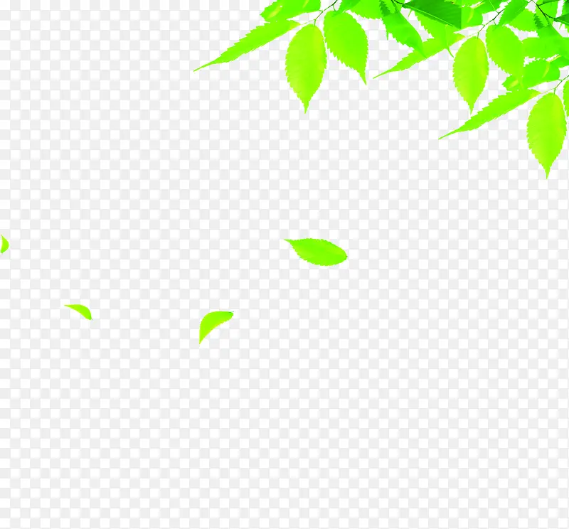 ��ɫ����Ư����Ҷ��Ҷ��֦-������