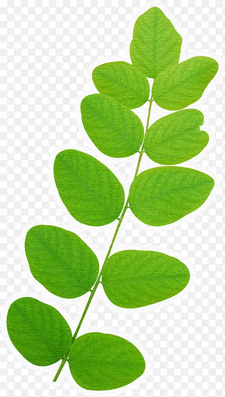 ��ɫ���´���Ư����Ҷ��֦-������