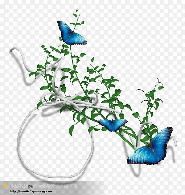 ������ɫ��֦����Ư��-������