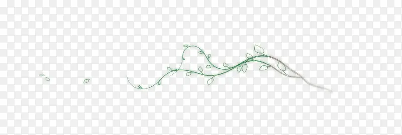 ��ɫ��֦��ҶƯ��-������