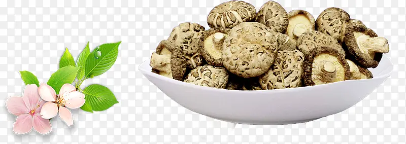 ��Ģ-������