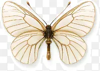 ����ʸ��Ч��ͼ-������