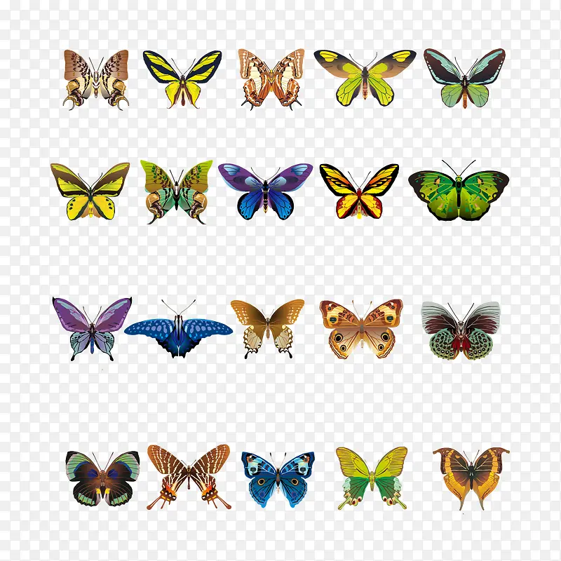 ��ɫ����ʸ��ͼ-������