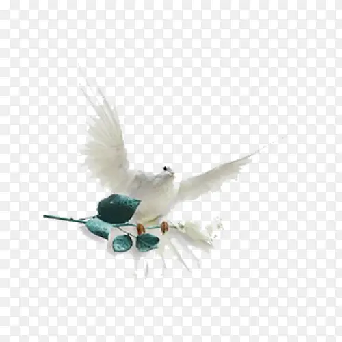 ������֦����-������