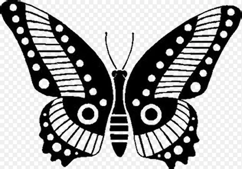 Ư���ĺ���-������