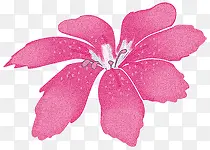 �ֻ��Ͼ�-������