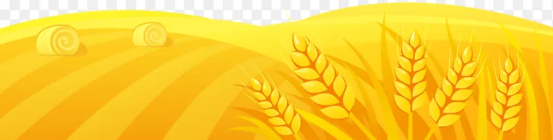 �������-������