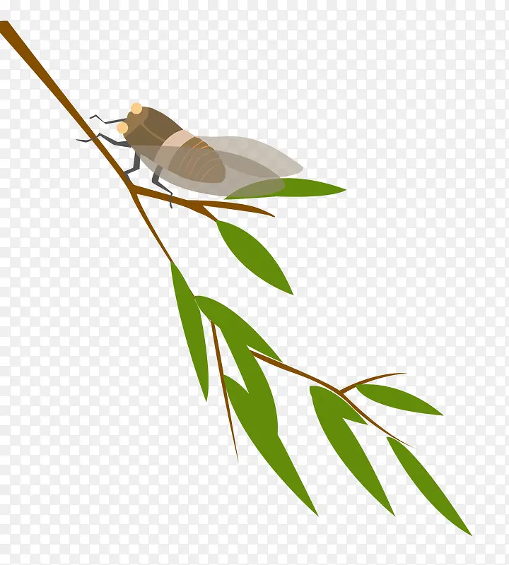 ֪��PNG-������