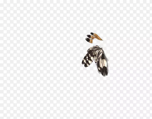 ʨ��ë����è�Ʋʻ��ۼ�-������