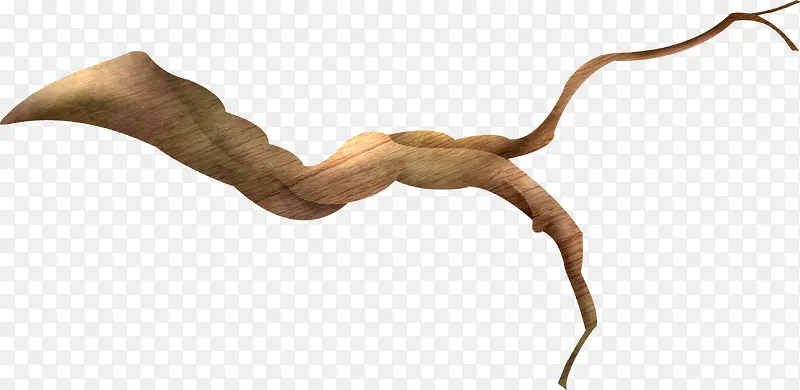 �ֻ���ɫ��֦-������