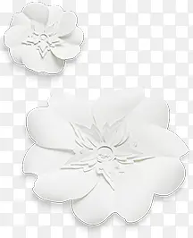 ��ɫ�ɻ�����-������