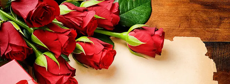 ����õ����ֽ����banner-������