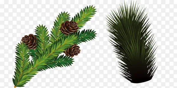 �������ʥ����֦-������