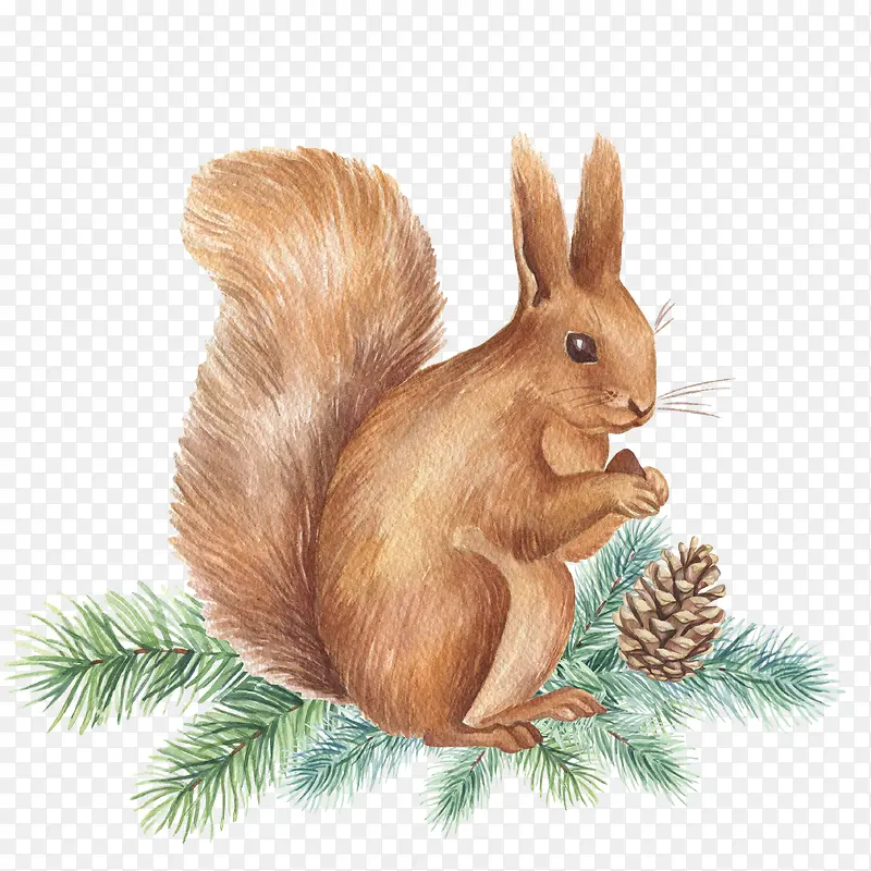 ��֦�ϵ��ֻ�����-������