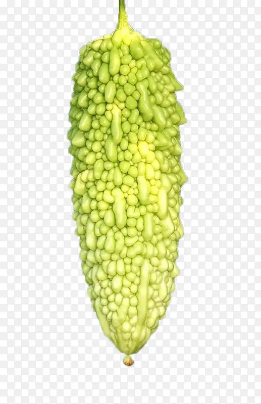 ���ʳƷ�ز�-������