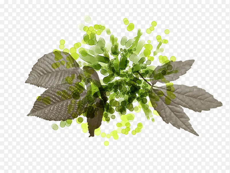 ˮ�ʻ��ӻ���-������