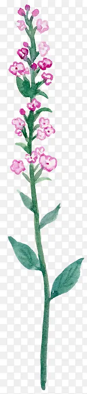 ��ɫС�黨����ˮ�ʷ��-������