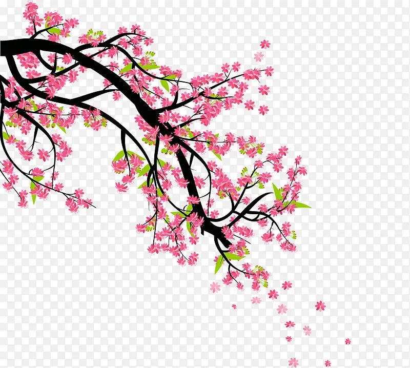 �ֻ�ʢ��÷��ʸ��ͼ-������