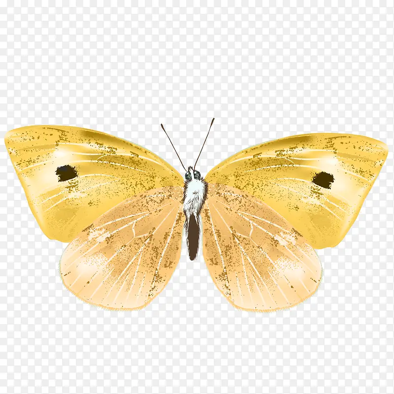 �ֻ����-������