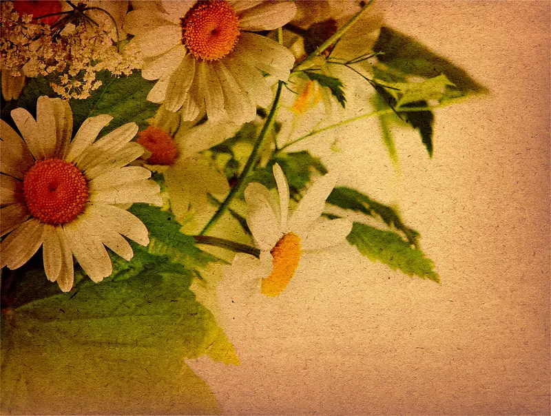 �ջ�����-������